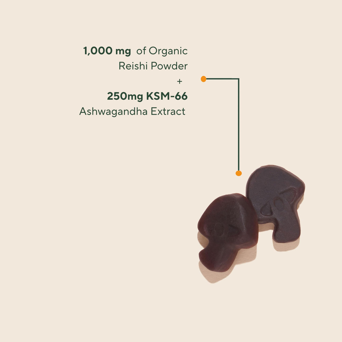 OM MUSHROOM SUPERFOOD Mushroom Gummies