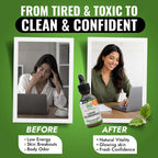 Benevolent Nourishment Chlorophyll Liquid Drops Peppermint - 2 Fl Oz - image 5