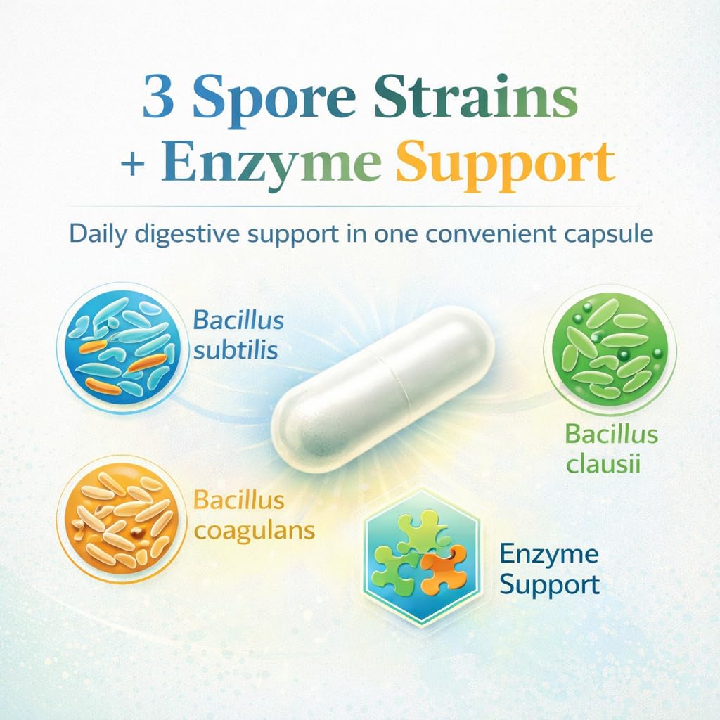 iEnzymes Bacillus B3 Spore-Based Probiotic + Enzymes - 60 Capsules - image 2