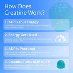 BetterFitness Creatine Gummies 5G Muscle Growth - 120 Count - image 9