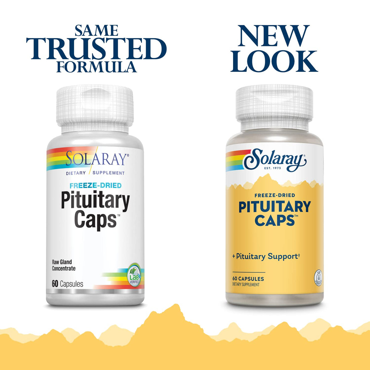 SOLARAY Pituitary Caps Freeze Dried - 60 Capsules - image 2