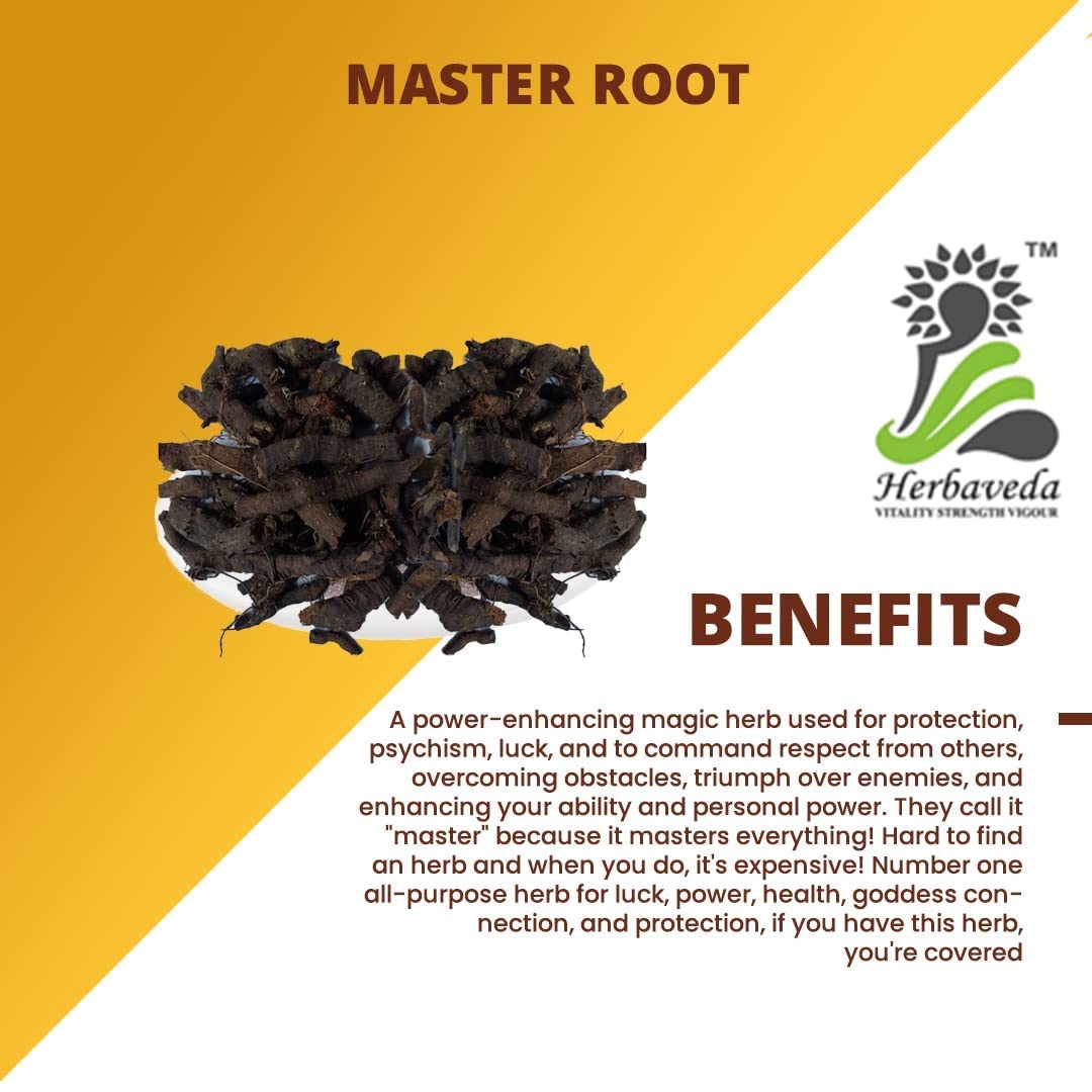 Metrol Herbaveda Master Root Herbal Supplement - 100g - image 2