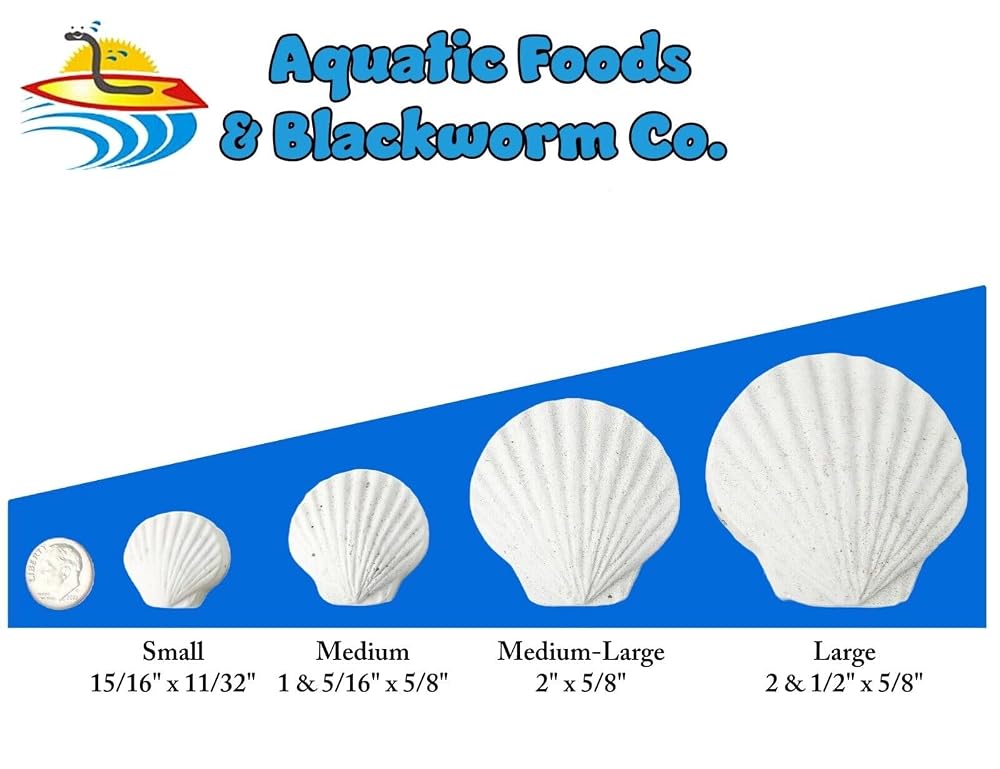 Aquatic Foods Calcium Feeder Shells Small & Medium - 200ct - image 3