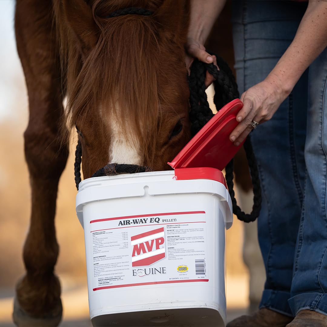 MVP Air-Way EQ Lung Support for Horses - 5lb - image 3