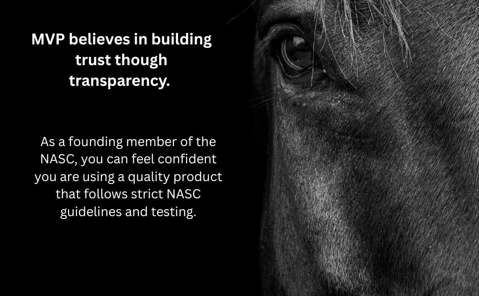 MVP Hylarin-B Powder for Joint Integrity Support in Horses - 100 Servings - image 4
