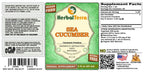Herbal Terra LLC Sea Cucumber (Cucumaria Frondosa) Tincture