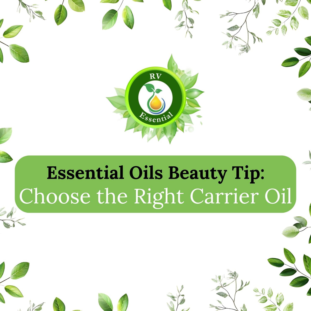R V Essential Black Seed Oil Nigella Sativa Carrier Oil - 42 Fl Oz - image 9