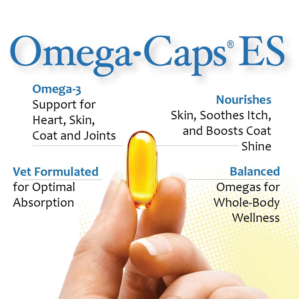 Pet Health Solutions Omega-3 Fish Oil for Dogs - 250 Softgels - image 2