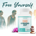 TerraForm Nutrition Stressed Out Mental Focus & Relaxation - 60 Capsules - image 6