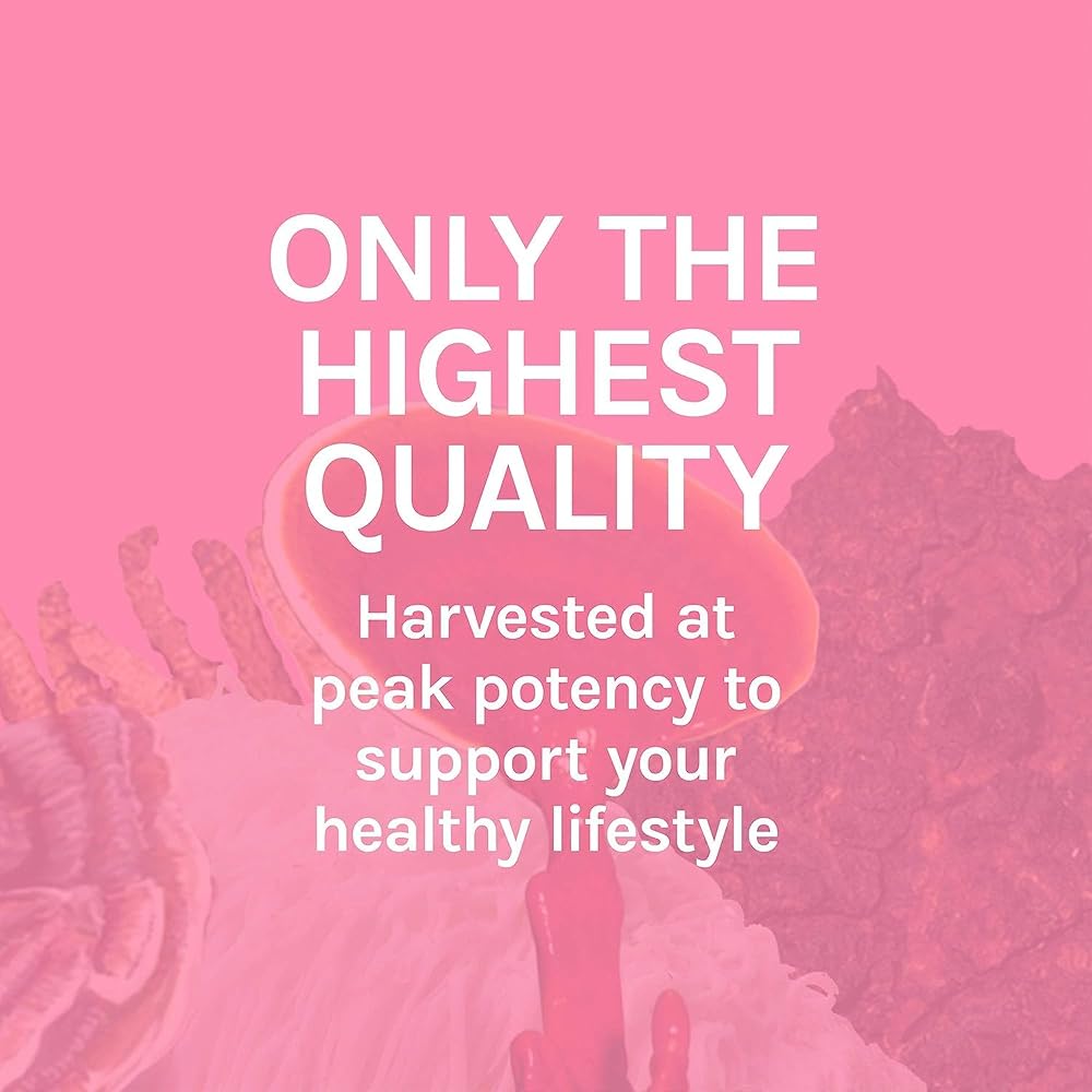 Host Defense Turkey Tail Capsules - Digestive Health & Immune