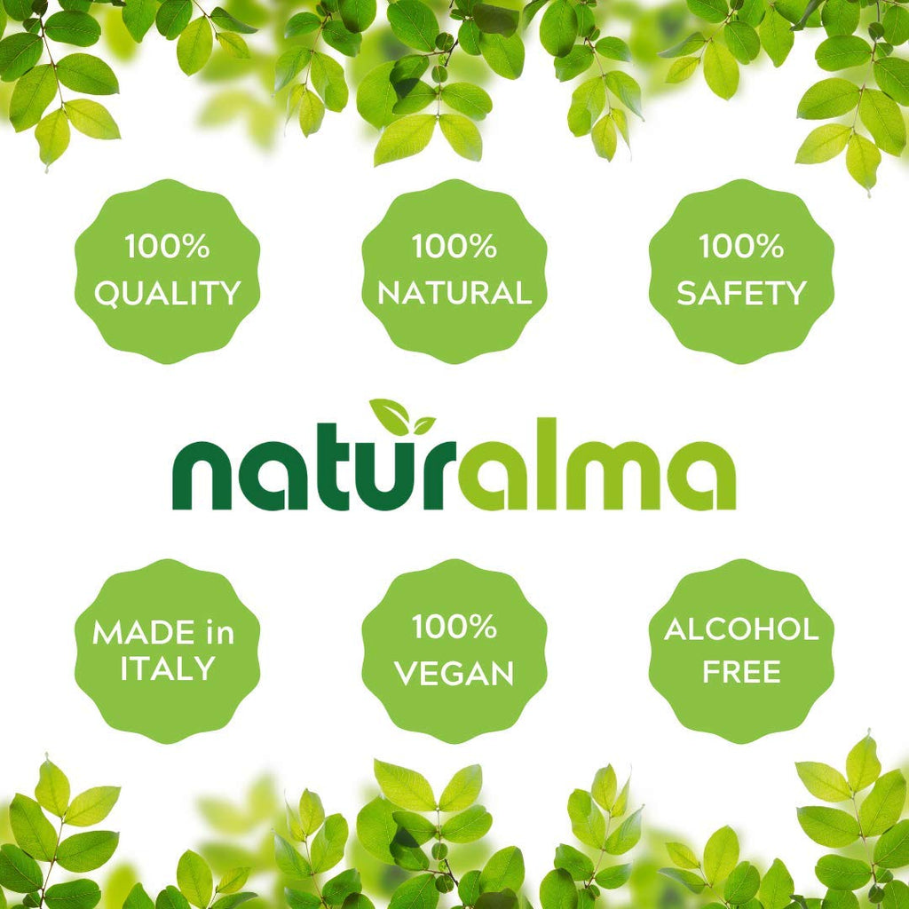 Naturalma Bilberry Fruit Alcohol-Free Tincture - 4 fl oz - image 8