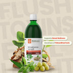 Krishna's Herbal & Ayurveda Patharchatadi Swaras Herbal Juice - 500 ml - image 2