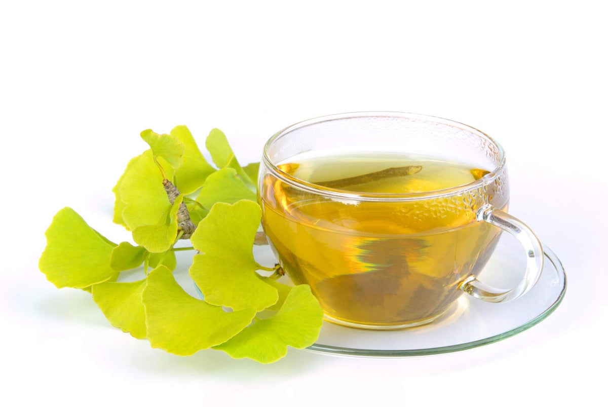 Health Embassy Ginkgo Biloba Leaf Herbal Tea - 100g - image 4