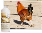 UltraCruz Poultry Omega Boost Supplement Liquid - 32 oz - image 3