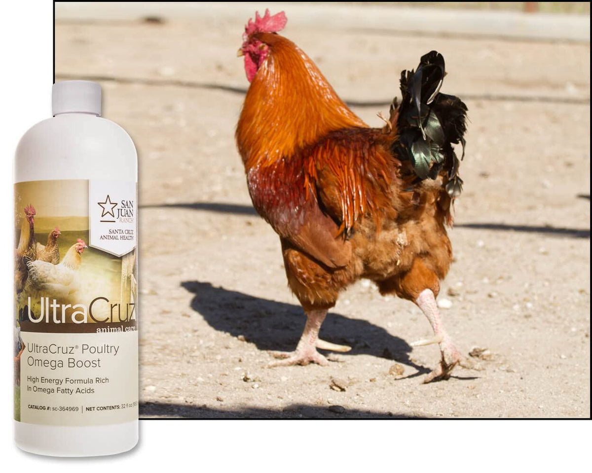 UltraCruz Poultry Omega Boost Supplement Liquid - 32 oz - image 3