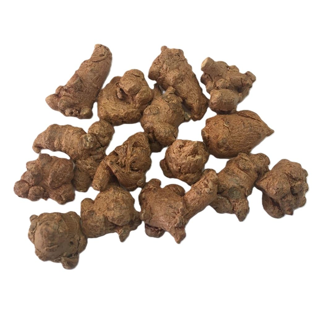 HerbsGreen Panax Notoginseng Tian Qi Root Whole - 8 oz - image 2