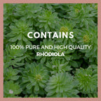 Remedy’s Nutrition Remedy's Nutrition Rhodiola 1000 mg - 60 Vegan Capsules - image 4