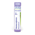 Boiron Calcarea Sulphurica 1M for Pustular Acne - 80 Pellets