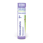 Boiron Calcarea Sulphurica 1M for Pustular Acne - 80 Pellets
