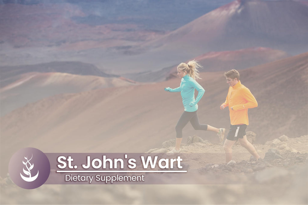 PURE ORIGINAL INGREDIENTS St. John's Wort - 100 Capsules - image 5
