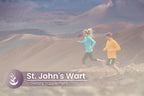 PURE ORIGINAL INGREDIENTS St. John's Wort - 100 Capsules - image 5