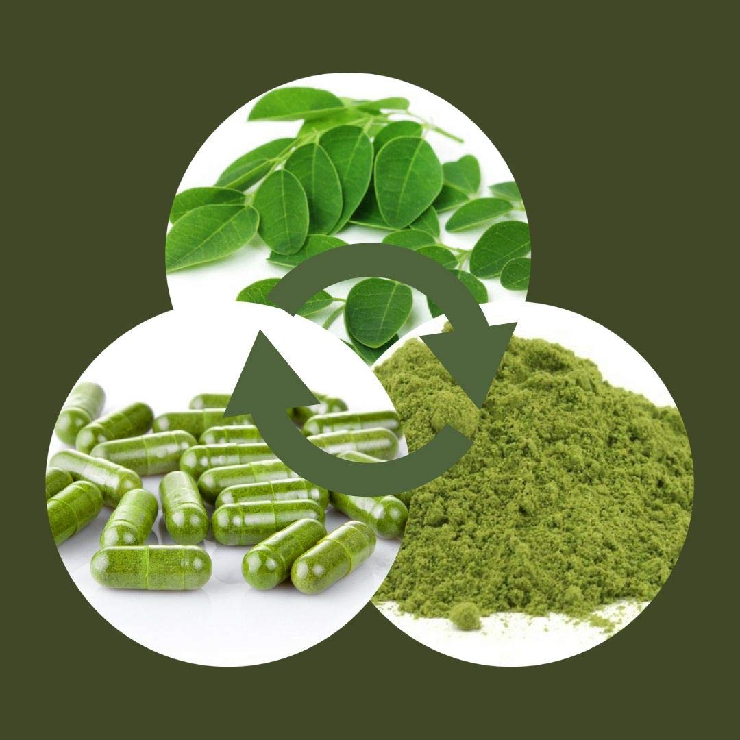 A M Organic Moringa Oleifera Leaf Powder Capsules - 120 Vegetarian Capsules - image 4