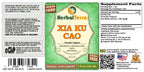 Herbal Terra LLC Xia Ku Cao, Prunella (Prunella Vulgaris) Tincture