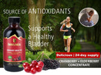 Immunia Cranberry & Elderberry Concentrate - 3-Pack - image 2
