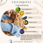 Vitality Science Advanced Immune Restoration Supplements for Cats - Large - image 3