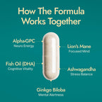 Purely Optimal Brain Booster with Alpha GPC & Ginkgo - 60 Capsules - image 5