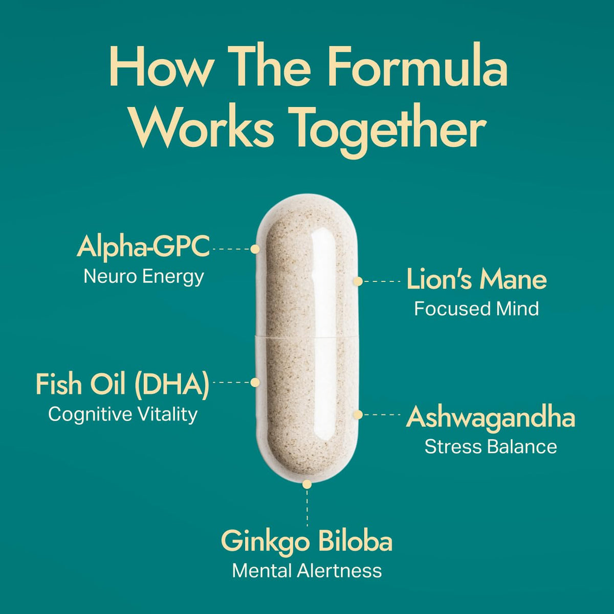 Purely Optimal Brain Booster with Alpha GPC & Ginkgo - 60 Capsules - image 5