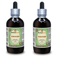 Herbal Terra LLC Cordyceps (Cordyceps Sinensis) Tincture