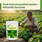 YAMKAY Musumusukkai Powder Ayurvedic Herbal - 1 Ounce - image 7