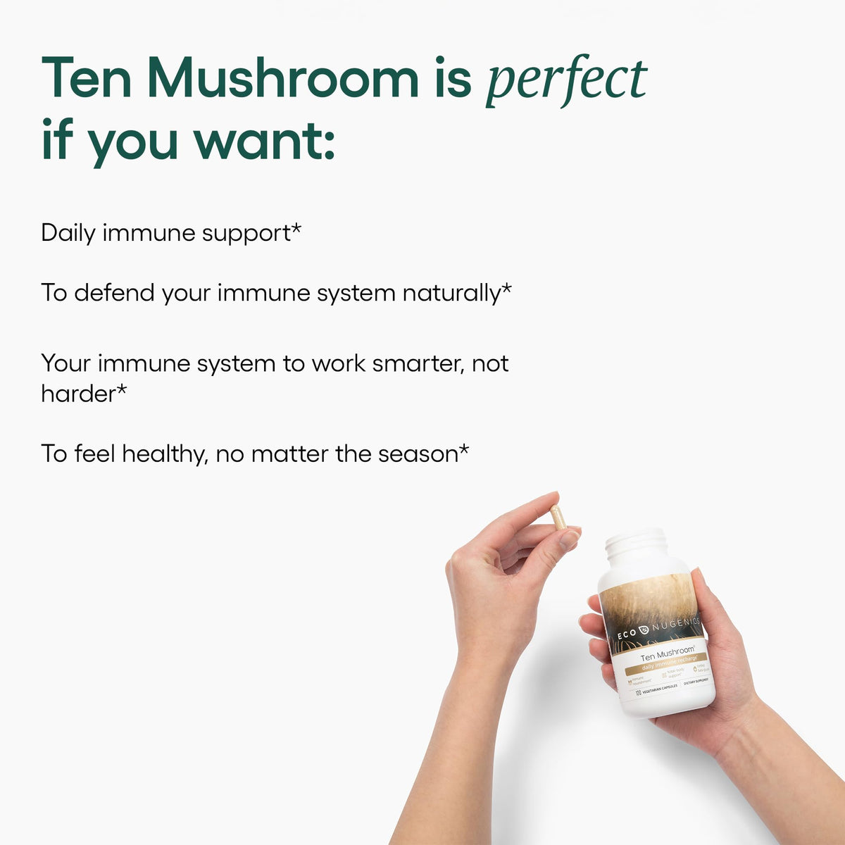 EcoNugenics Ten Mushroom Supplement - 120 Capsules - image 4