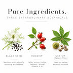 Holistic Apothecary Black Seed Oil, Rosehip & Castor Oil Face Oil - 2 FL OZ - image 6