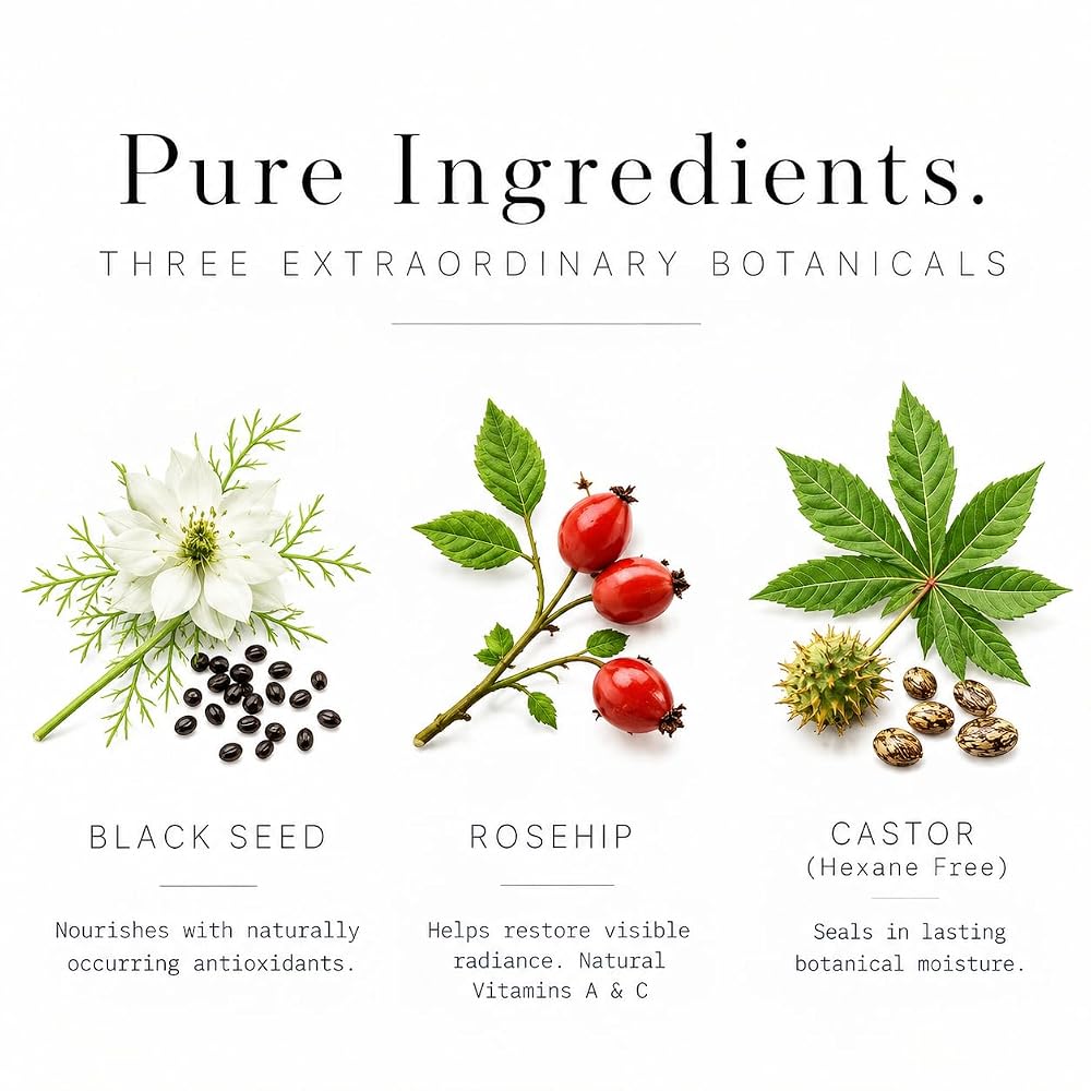 Holistic Apothecary Black Seed Oil, Rosehip & Castor Oil Face Oil - 2 FL OZ - image 6