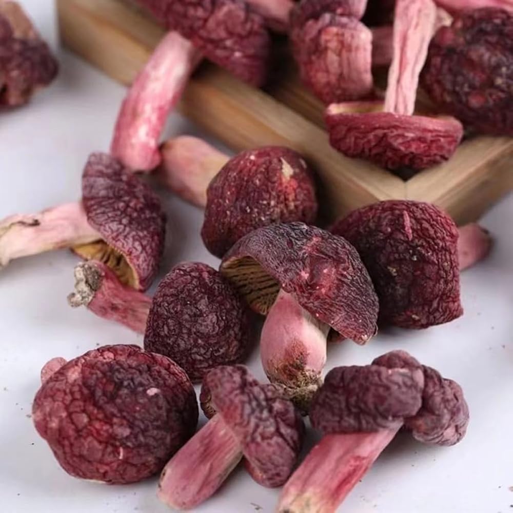 CHLYAET Dried Russula Red Mushroom Honggu - 100g - image 3