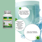 Herb Guru Immuniherb Immune Support Supplement - 60 Vegetarian Capsules - image 6