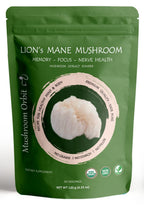 Mushroom Orbit Lion's Mane Organic Mushroom Extract Powder - 120g