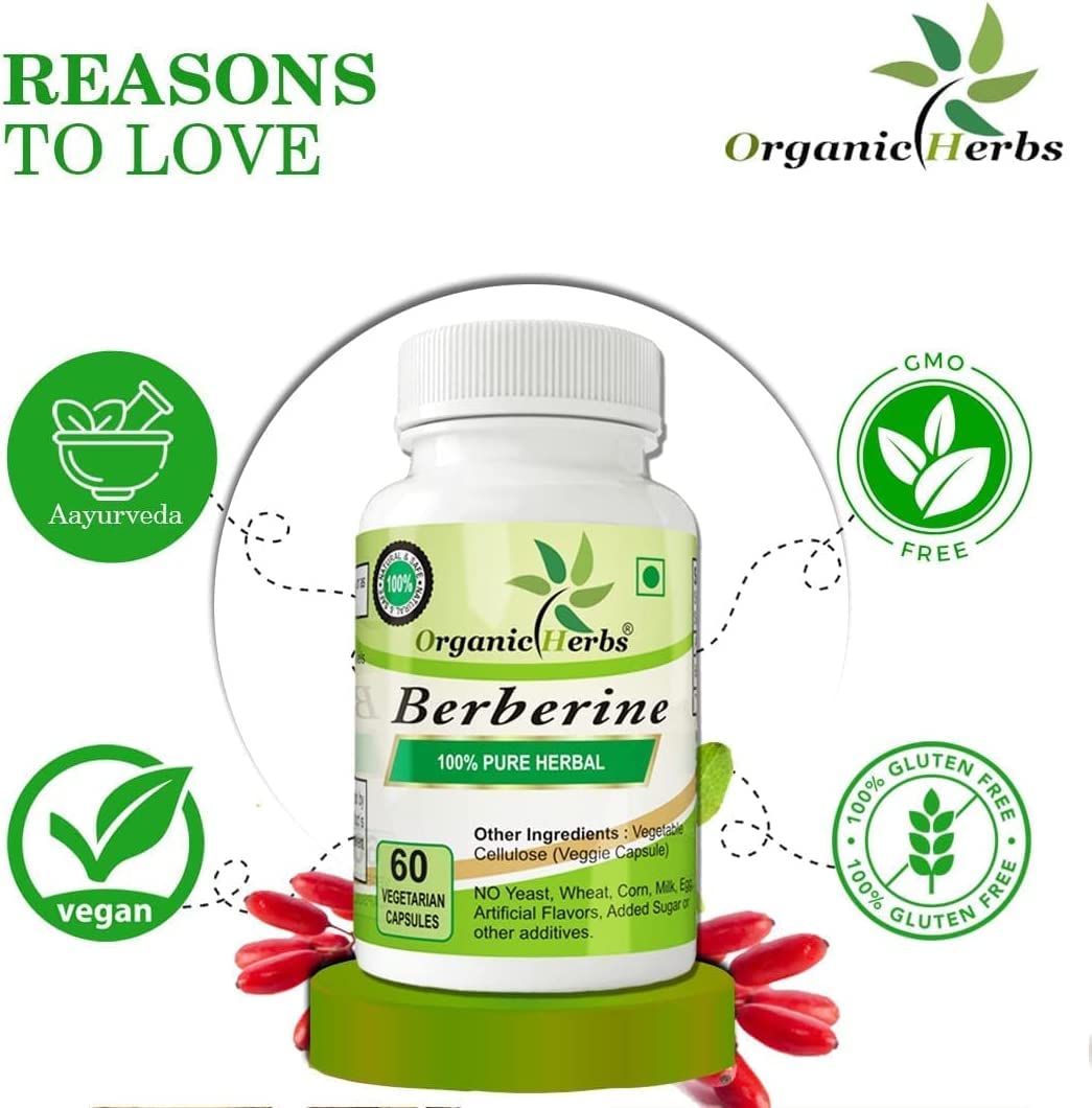 Organic Herbs Ayurvedic Berberine - 240 Capsules - image 4