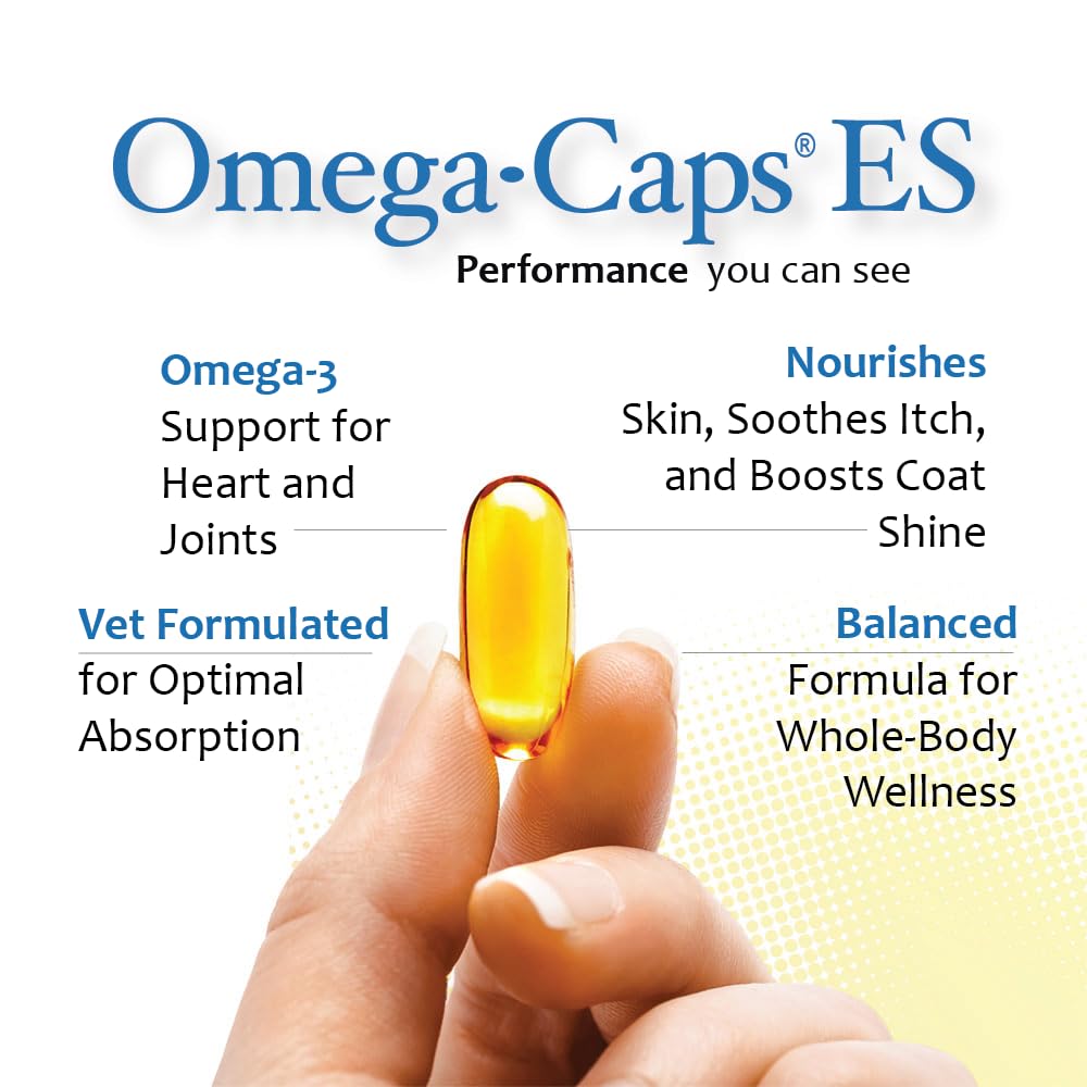 Pet Health Solutions Omega-Caps Extra Strength Large Breeds - 1000 Softgels - image 2