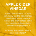 TRIO NUTRITION Apple Cider Vinegar Green Tea Capsules - 60 Count - image 6