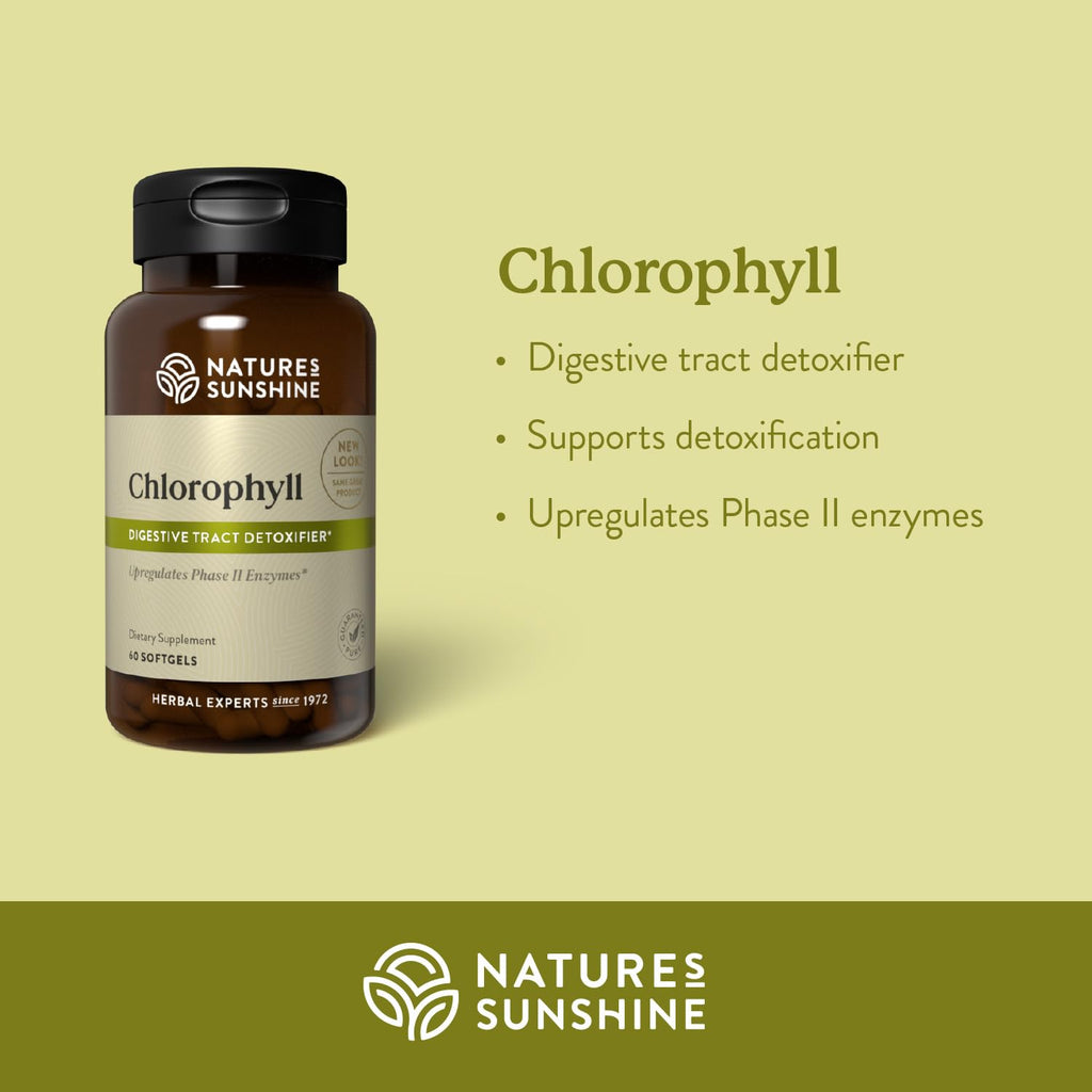 Nature's Sunshine Chlorophyll - 60 Softgels - image 3