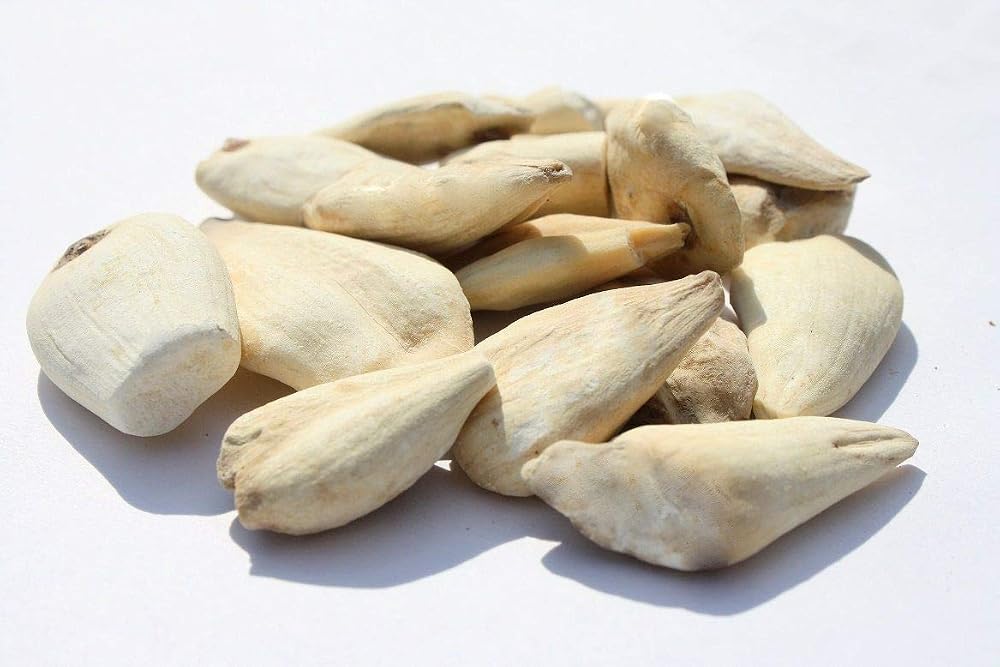 Generic NT Suranjan Powder - 100 Gm - image 4
