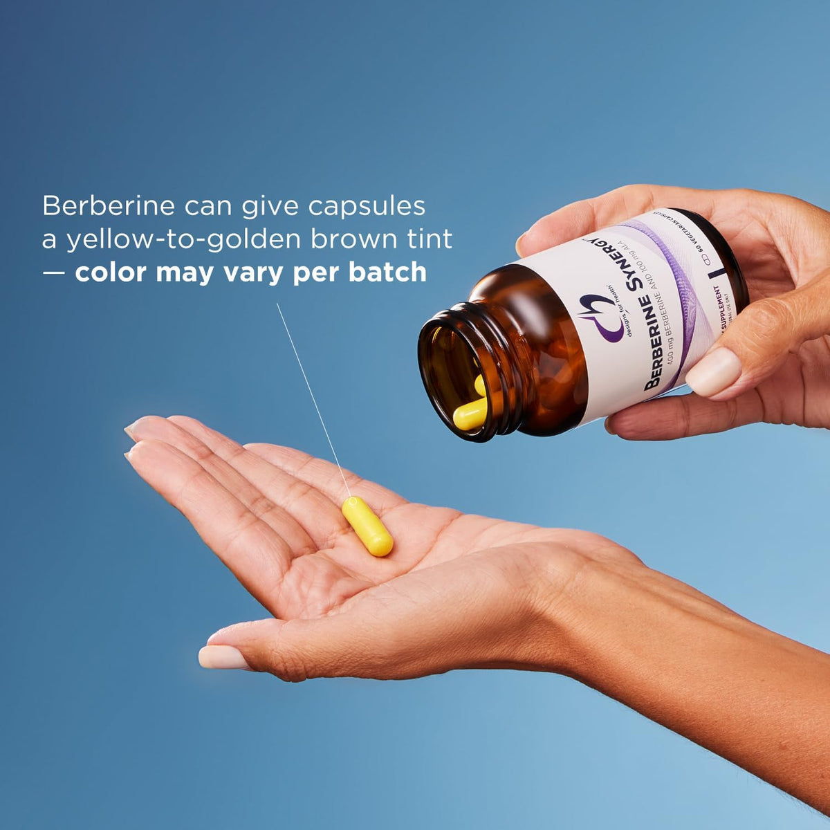 Designs for Health Berberine Synergy 400mg + ALA - 60 Capsules - image 4
