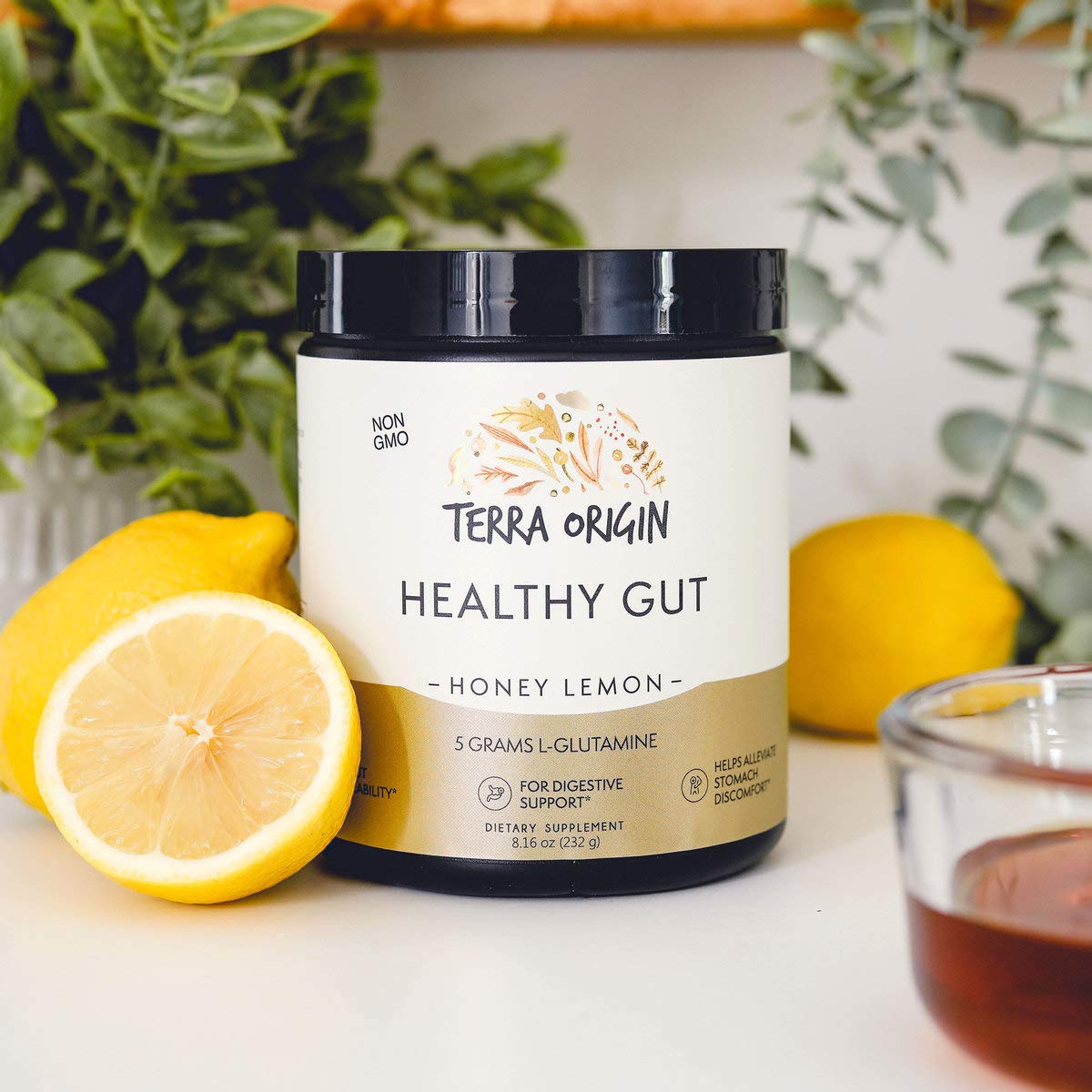 TERRA ORIGIN Healthy Gut with L-Glutamine