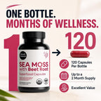 Atlantic Naturals Sea Moss Dietary Supplement - 120 Count Vegetable