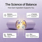 BOND Thyroid Complex Supplement with Selenium & L-Tyrosine - 60 Capsules - image 5