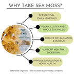 Elderwise Organics Irish Sea Moss Wildcrafted Raw - 1.23 oz - image 3