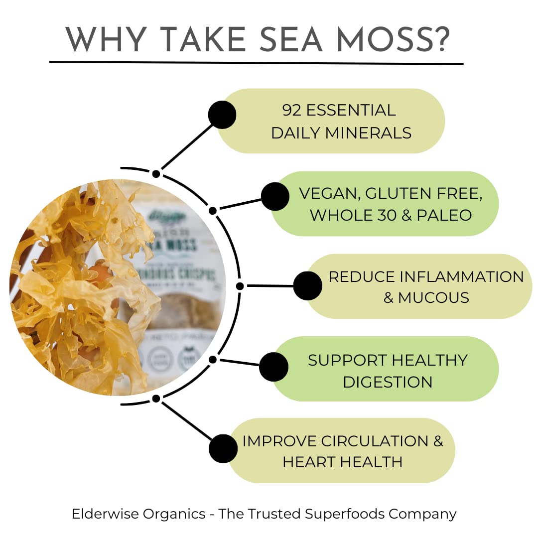 Elderwise Organics Irish Sea Moss Wildcrafted Raw - 1.23 oz - image 3
